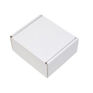 155x125x95mm Single Wall White Postal Boxes