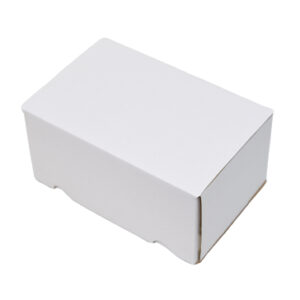 220x150x100mm Single Wall White Postal Boxes