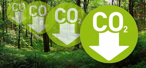 Our Carbon Neutral Pledge: Our CO2 Reductions