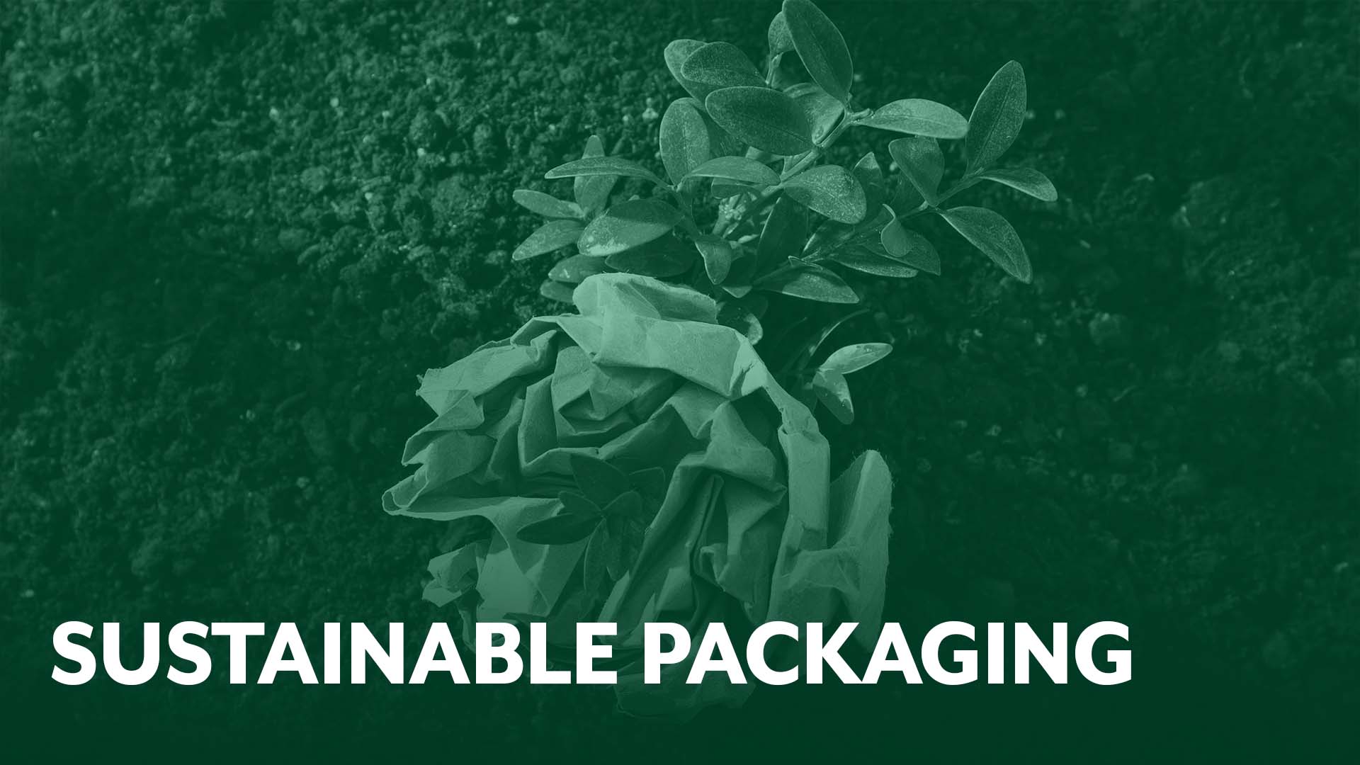 Sustainable Packaging