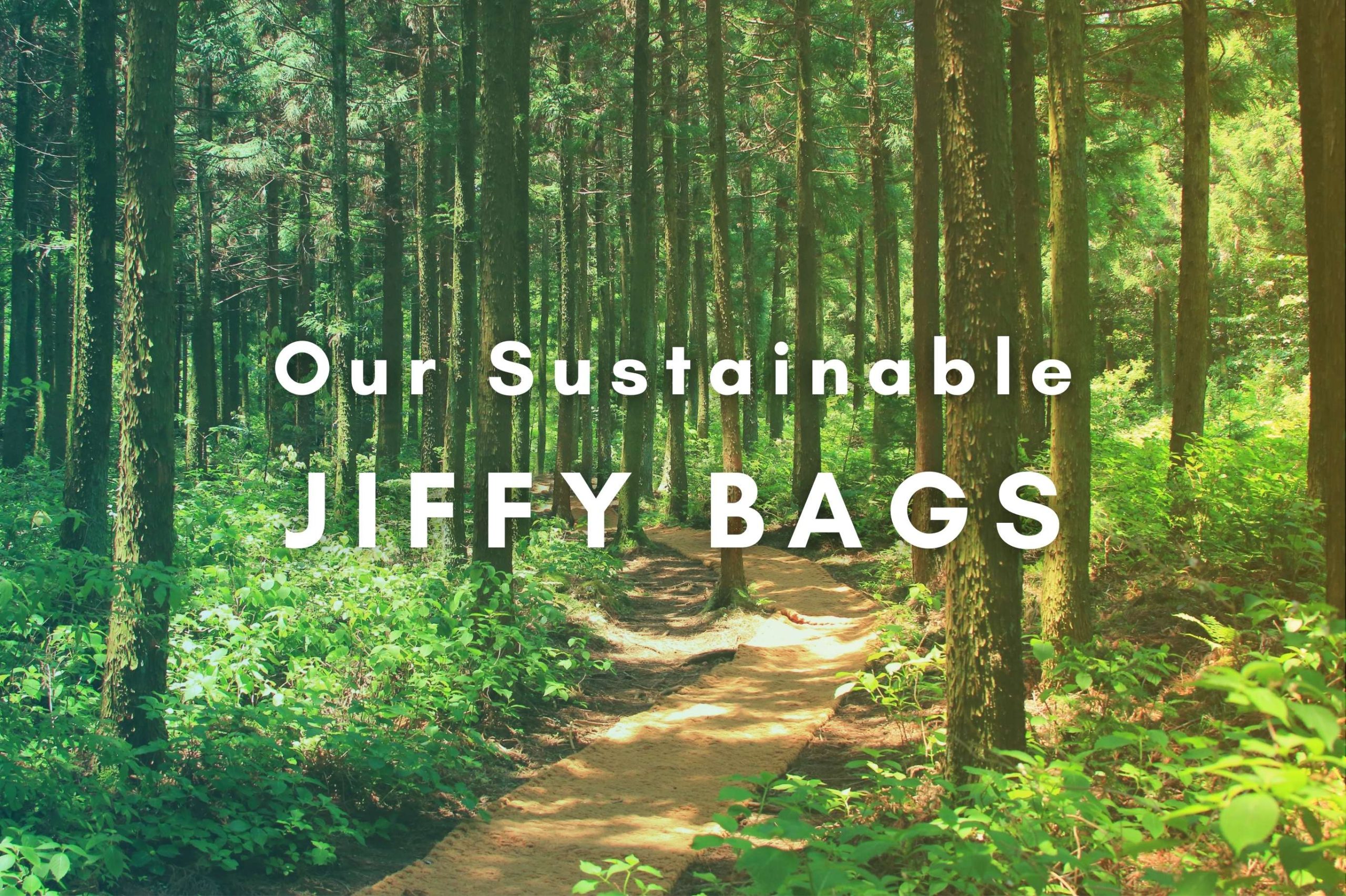 Sustainable Jiffy Bags